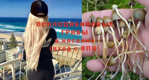 ECSTASY Михайловск