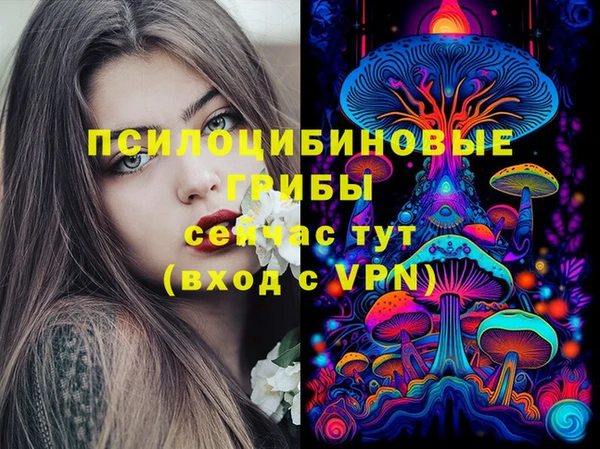 тгк Михайловка