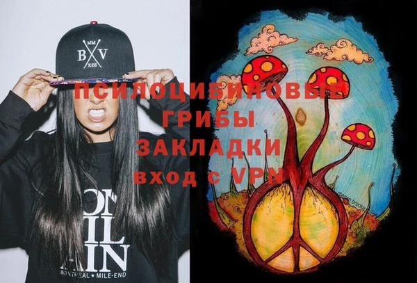 ECSTASY Михайловск