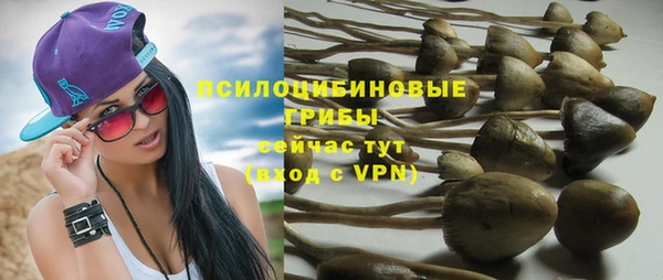 тгк Михайловка