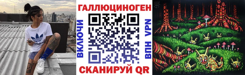 Купить  Ивдель  Псилоцибиновые грибы Cubensis 